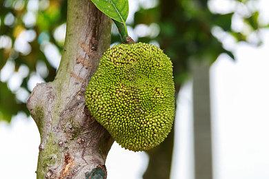 《命运2》公开“代号：前线”扩展未来更新细节